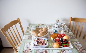 B&B Molenaar